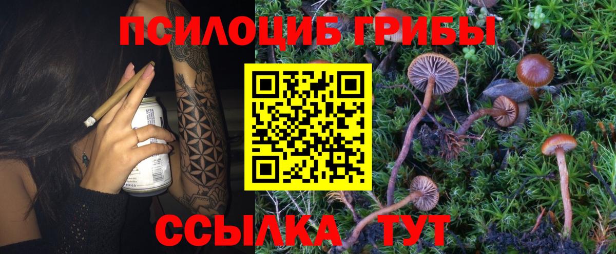 Гашиш Кунгур