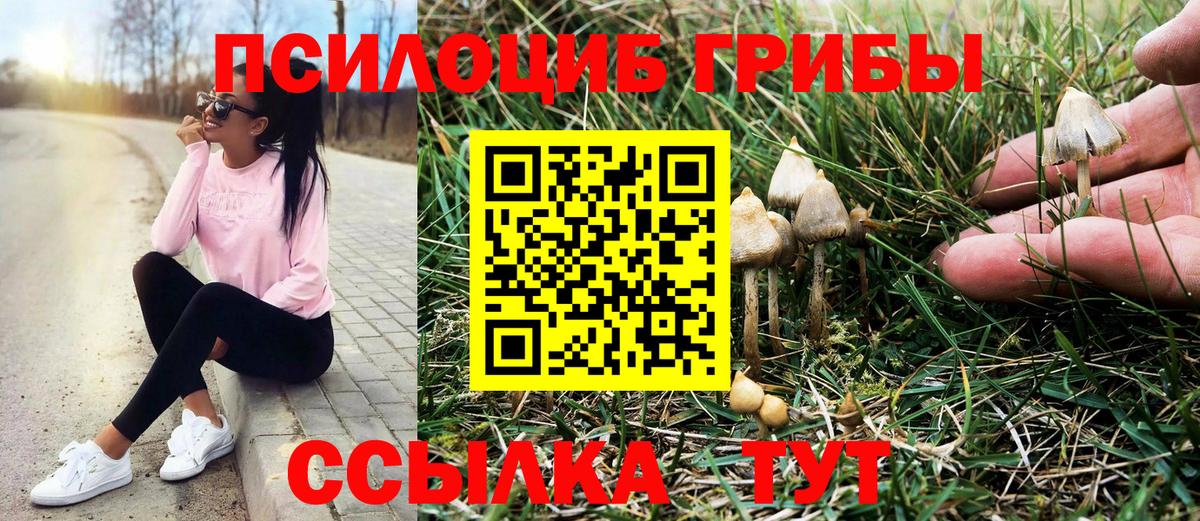 Кунгур  Псилоцибиновые грибы прущие грибы  Вход с VPN 